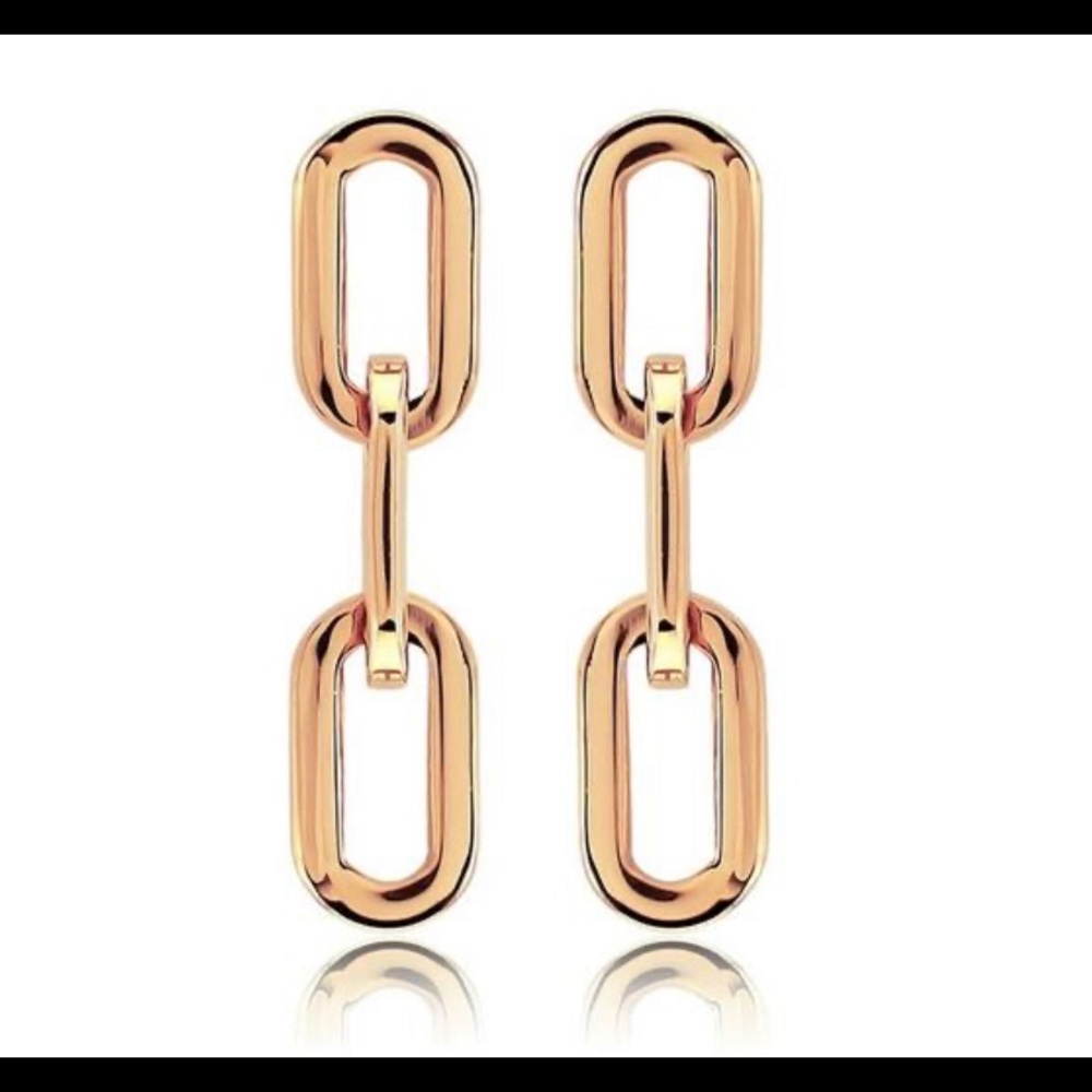 Gold 316L Stainless Steel Long Earrings - Picture 4 of 6